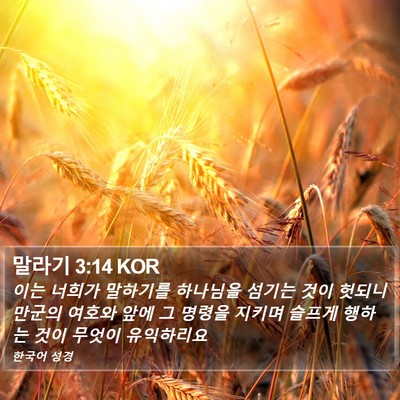 말라기 3:14 KOR Bible Verse Image