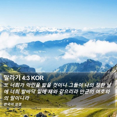말라기 4:3 KOR Bible Verse Image