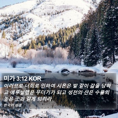 미가 3:12 KOR Bible Verse Image