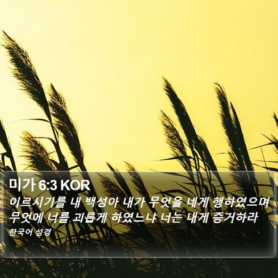 미가 6:3 KOR Bible Verse Image