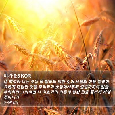 미가 6:5 KOR Bible Verse Image