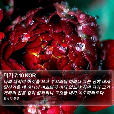 미가 7:10 KOR Bible Verse Image