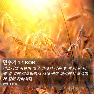 민수기 1:1 KOR Bible Verse Image