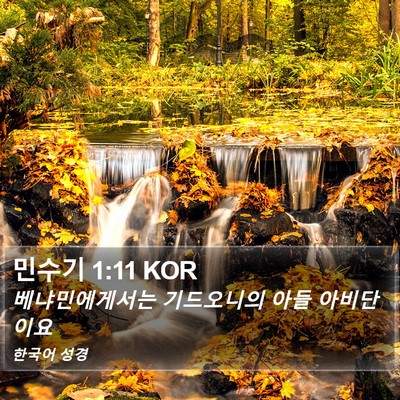 민수기 1:11 KOR Bible Verse Image