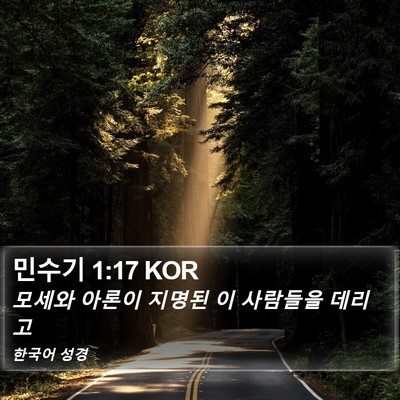 민수기 1:17 KOR Bible Verse Image