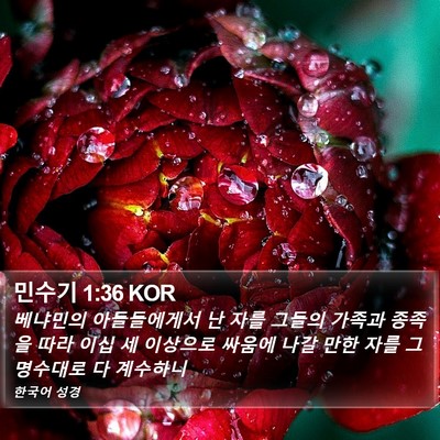 민수기 1:36 KOR Bible Verse Image