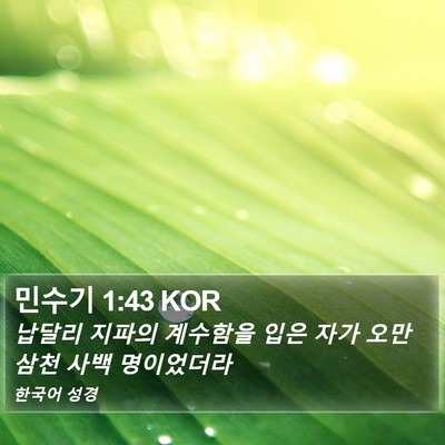 민수기 1:43 KOR Bible Verse Image