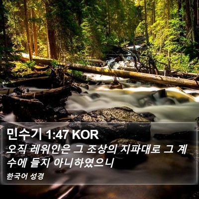 민수기 1:47 KOR Bible Verse Image
