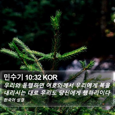 민수기 10:32 KOR Bible Verse Image