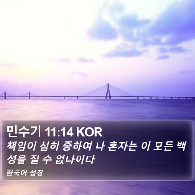 민수기 11:14 KOR Bible Verse Image