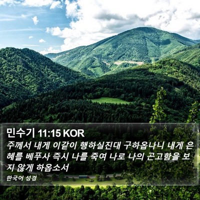 민수기 11:15 KOR Bible Verse Image