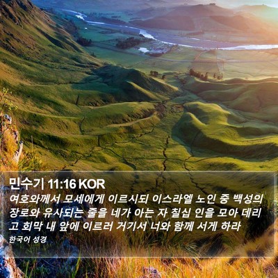민수기 11:16 KOR Bible Verse Image