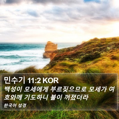 민수기 11:2 KOR Bible Verse Image