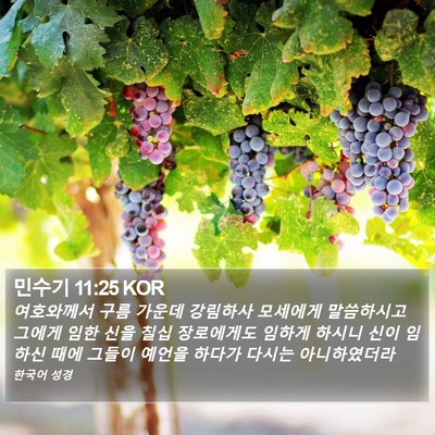 민수기 11:25 KOR Bible Verse Image