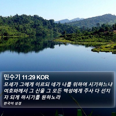 민수기 11:29 KOR Bible Verse Image