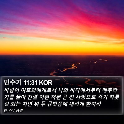 민수기 11:31 KOR Bible Verse Image