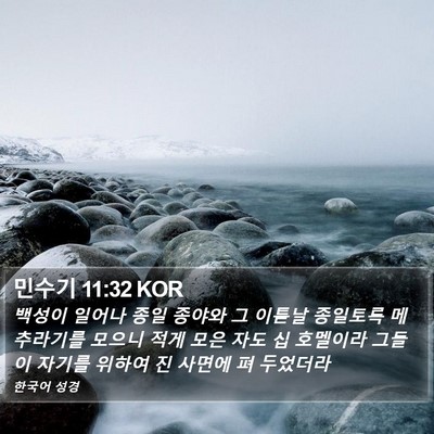 민수기 11:32 KOR Bible Verse Image