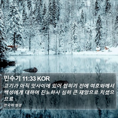 민수기 11:33 KOR Bible Verse Image