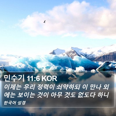 민수기 11:6 KOR Bible Verse Image