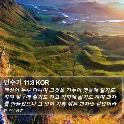 민수기 11:8 KOR Bible Verse Image