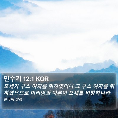 민수기 12:1 KOR Bible Verse Image