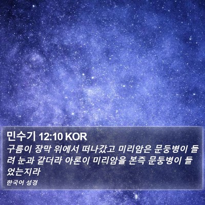 민수기 12:10 KOR Bible Verse Image
