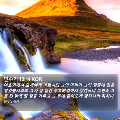 민수기 12:14 KOR Bible Verse Image