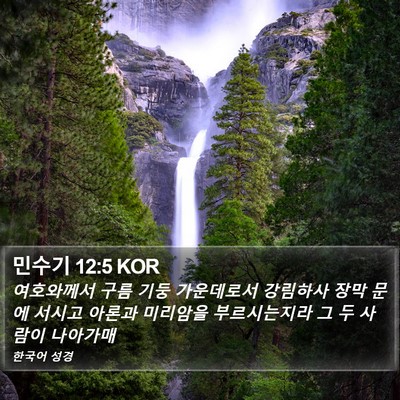 민수기 12:5 KOR Bible Verse Image