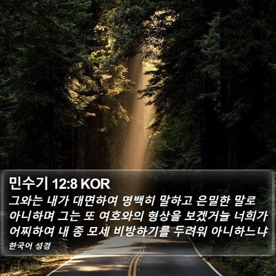 민수기 12:8 KOR Bible Verse Image