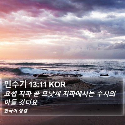 민수기 13:11 KOR Bible Verse Image