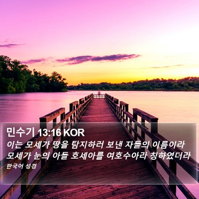 민수기 13:16 KOR Bible Verse Image