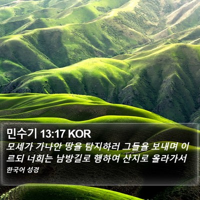 민수기 13:17 KOR Bible Verse Image