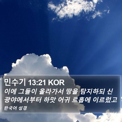민수기 13:21 KOR Bible Verse Image