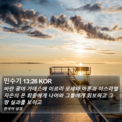 민수기 13:26 KOR Bible Verse Image