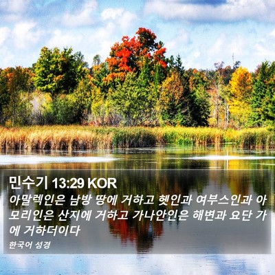 민수기 13:29 KOR Bible Verse Image