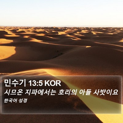민수기 13:5 KOR Bible Verse Image
