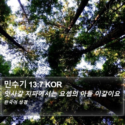 민수기 13:7 KOR Bible Verse Image