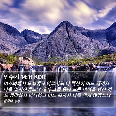 민수기 14:11 KOR Bible Verse Image