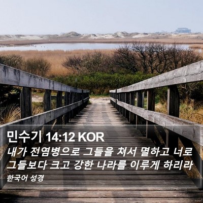 민수기 14:12 KOR Bible Verse Image