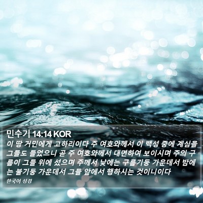 민수기 14:14 KOR Bible Verse Image