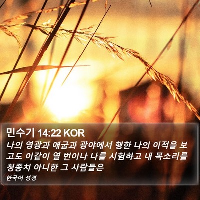 민수기 14:22 KOR Bible Verse Image