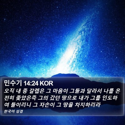민수기 14:24 KOR Bible Verse Image