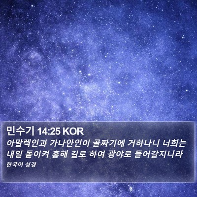 민수기 14:25 KOR Bible Verse Image