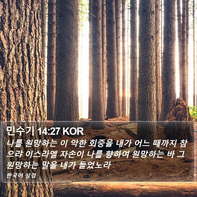 민수기 14:27 KOR Bible Verse Image