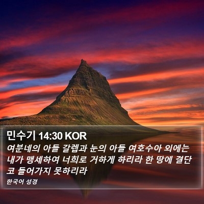민수기 14:30 KOR Bible Verse Image