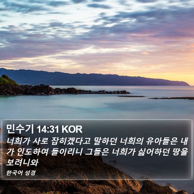민수기 14:31 KOR Bible Verse Image