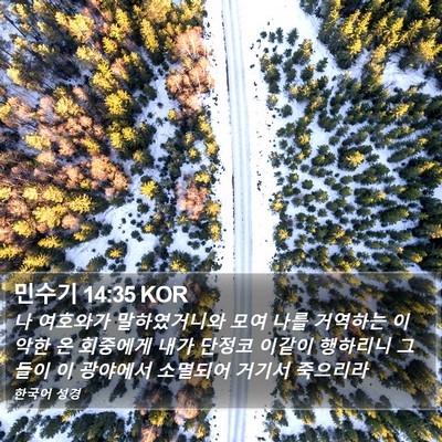 민수기 14:35 KOR Bible Verse Image