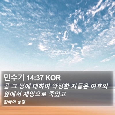 민수기 14:37 KOR Bible Verse Image