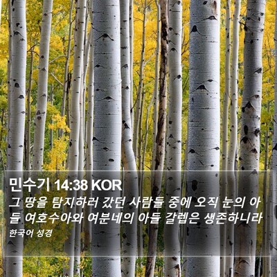 민수기 14:38 KOR Bible Verse Image