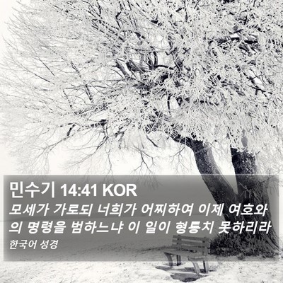 민수기 14:41 KOR Bible Verse Image